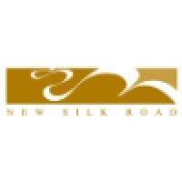 new silk road investment logo image