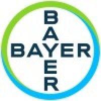 bayer logo image