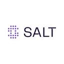 logo of Salt Security