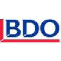 bdo llp singapore