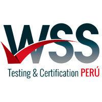 wss - world survey services