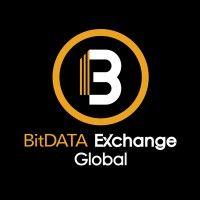 bitdata exchange global logo image