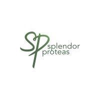 splendor proteas logo image