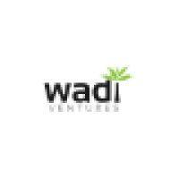 wadi ventures logo image