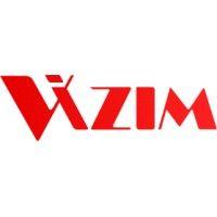 vizim logo image