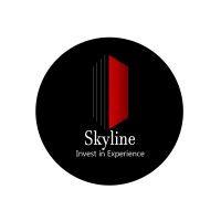 skyline consulting group, llc logo image