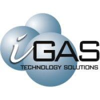 igas technology solutions ltd logo image