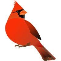 cardinal executive search logo image