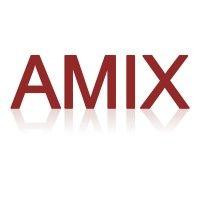 amix serviços de informática logo image