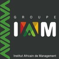 groupe institut africain de management 2 logo image