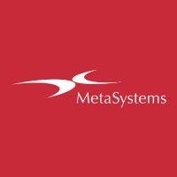 metasystems international