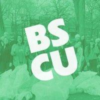 bed-stuy cleanups