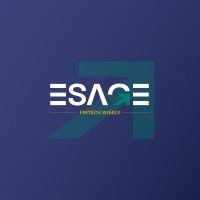 esage holding logo image