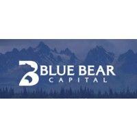 blue bear capital logo image