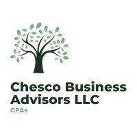 chesco business advisors llc logo image