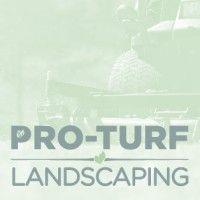 pro-turf landscaping co logo image