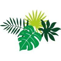 the big plant company logo image