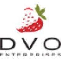 dvo enterprises