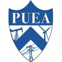 princeton university energy association logo image