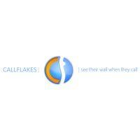 callsome solutions inc. logo image