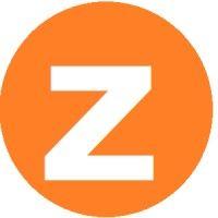 znz capital private ltd logo image