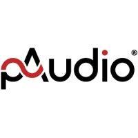 paudio technologies sp. z o.o. logo image