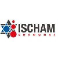 the israeli chamber of commerce - shanghai logo image