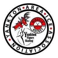 yankton area ice association logo image