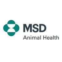 msd animal health portugal logo image