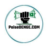 paisedenge.com logo image