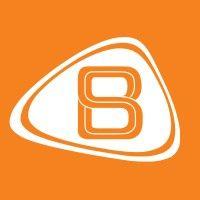 bransys logo image