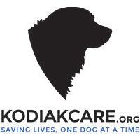 kodiakcare logo image