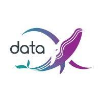 datax logo image