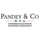 logo of Pandey Co Limited