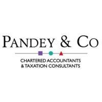 pandey & co limited logo image