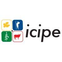 icipe - international centre of insect physiology and ecology logo image