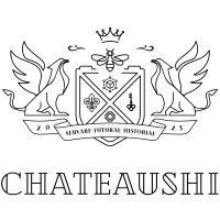 chateaushi logo image