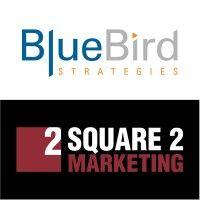 bluebird strategies logo image