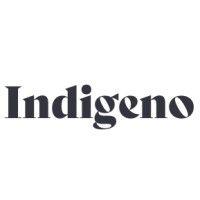 indigeno logo image