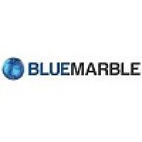 blue marble (international) ltd logo image