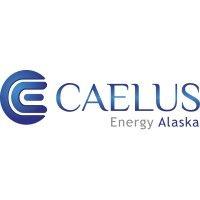 caelus energy logo image