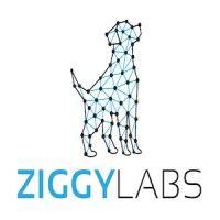 ziggylabs logo image