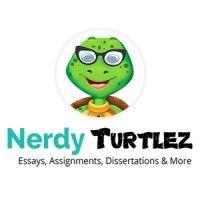 nerdyturtlez.com logo image