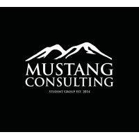 mustang consulting group