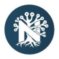 nolwenture ltd. logo image