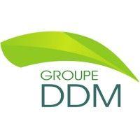 groupe ddm logo image