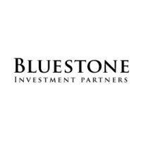 bluestone investment partners logo image