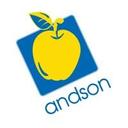 logo of Andson