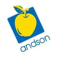 andson logo image