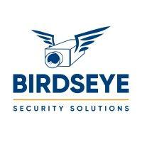 birdseye security solutions logo image